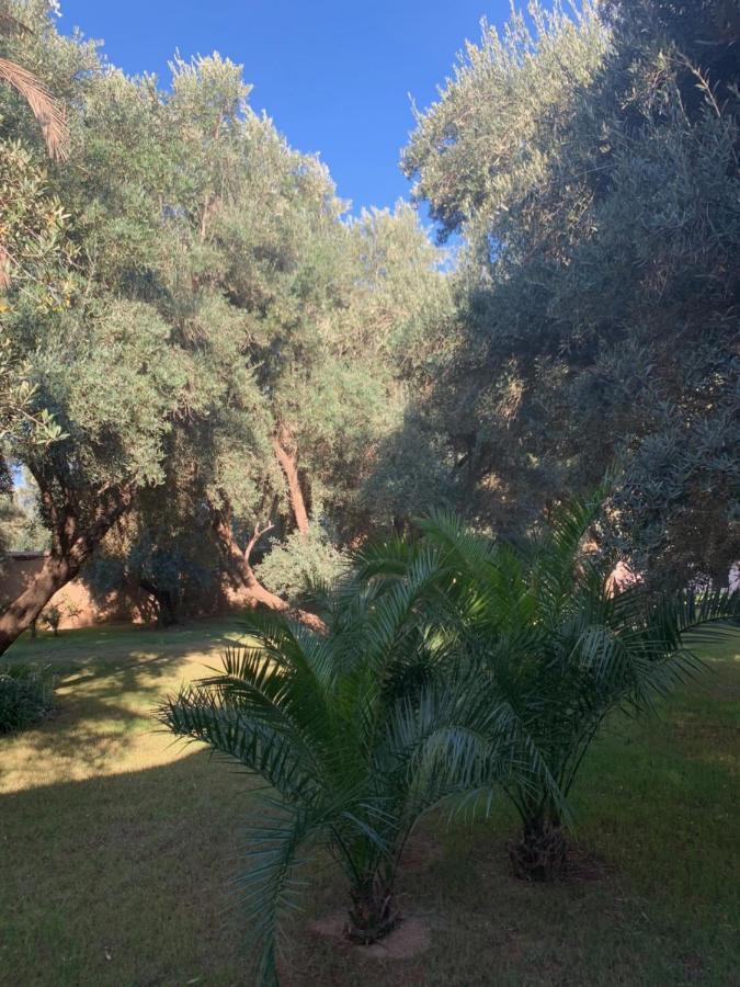 Riad Le Jasmin Taroudant Exterior photo